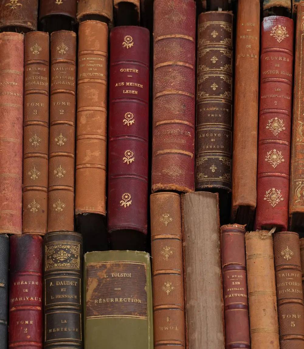 Pehlivan Hukuk Bürosu — hukuk kütüphanesi
